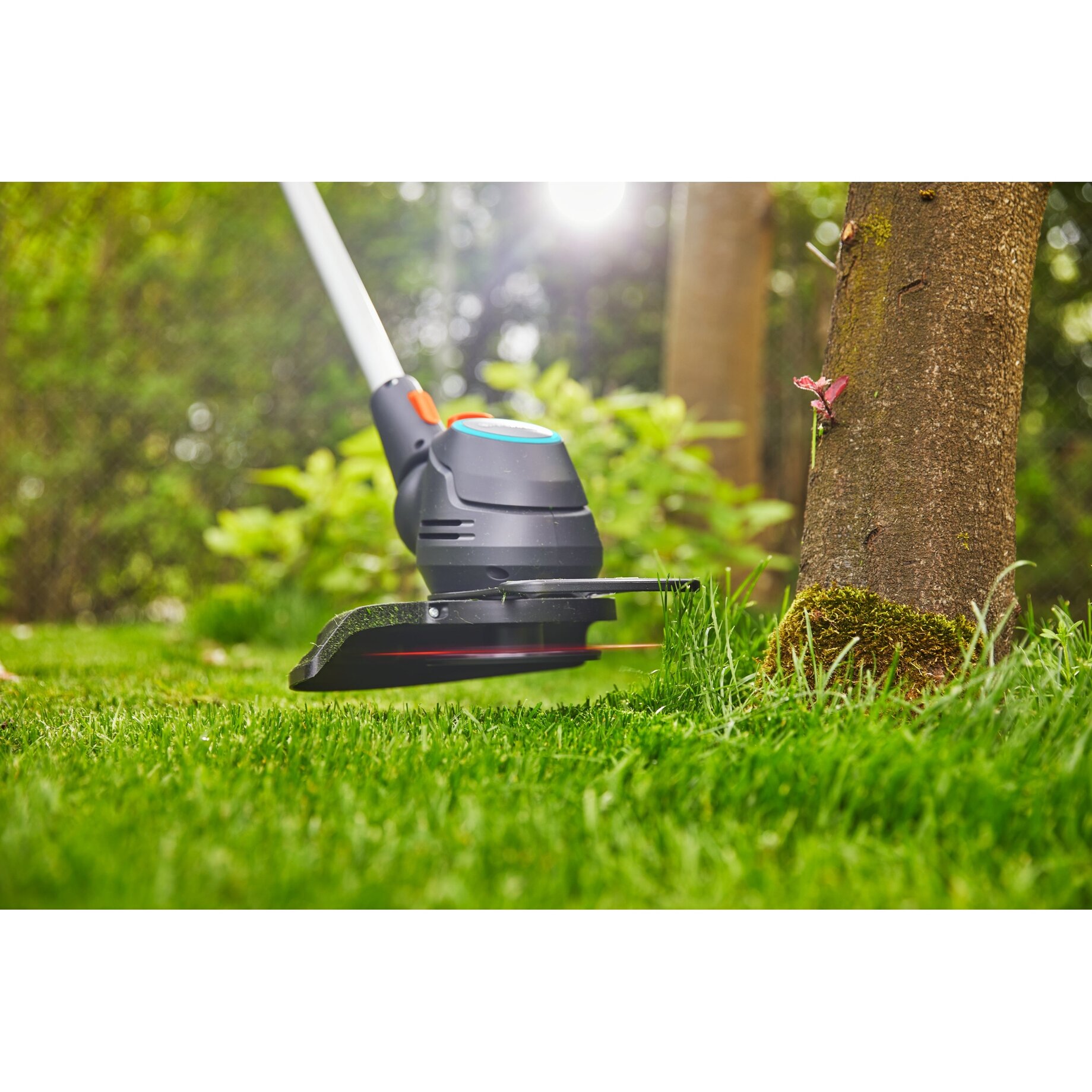 Gras, Rasen, Pflanze, Gerät