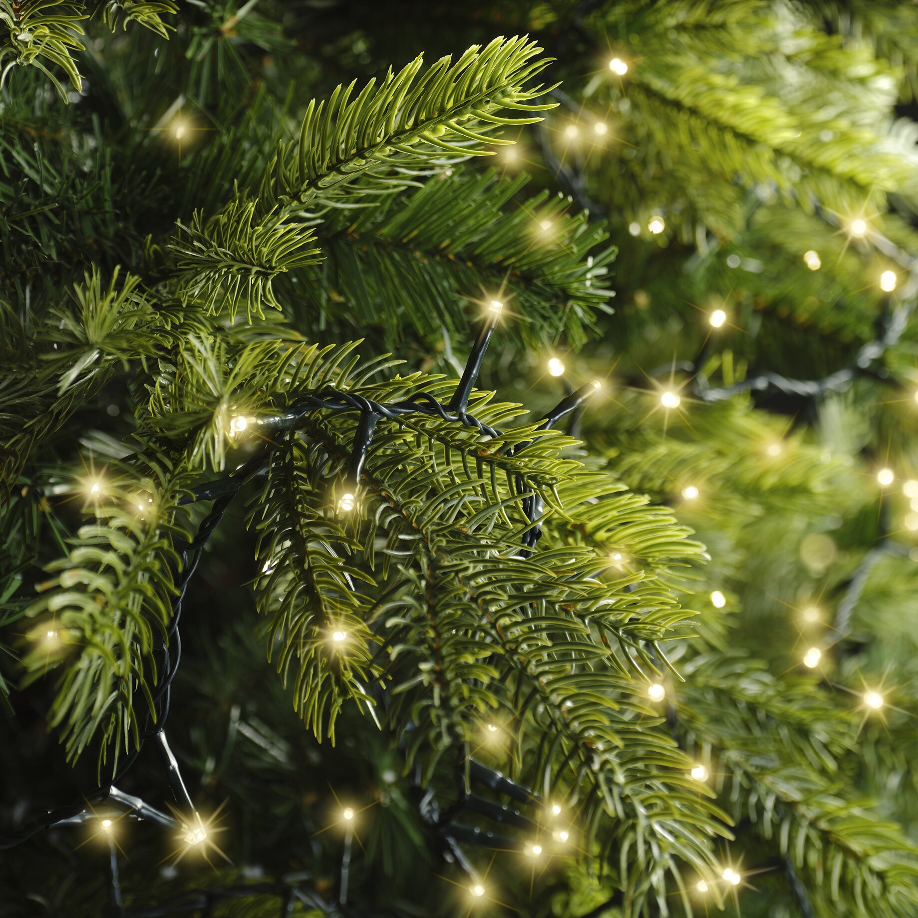 Baum, Kiefer, Weihnachtsdekorationen, Weihnachtsbaum, Christbaumschmuck