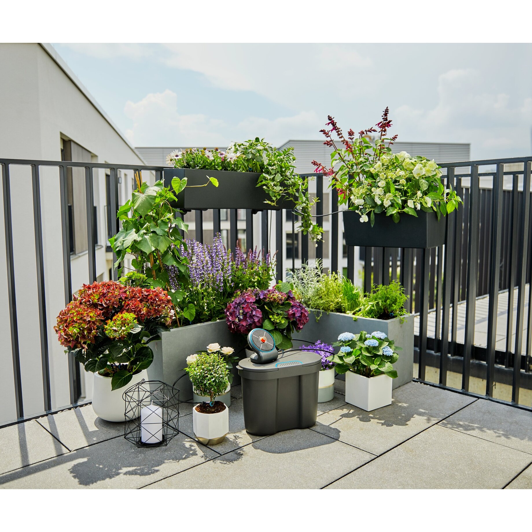 Balkon, Pflanze, Innenarchitektur, Garten, Natur