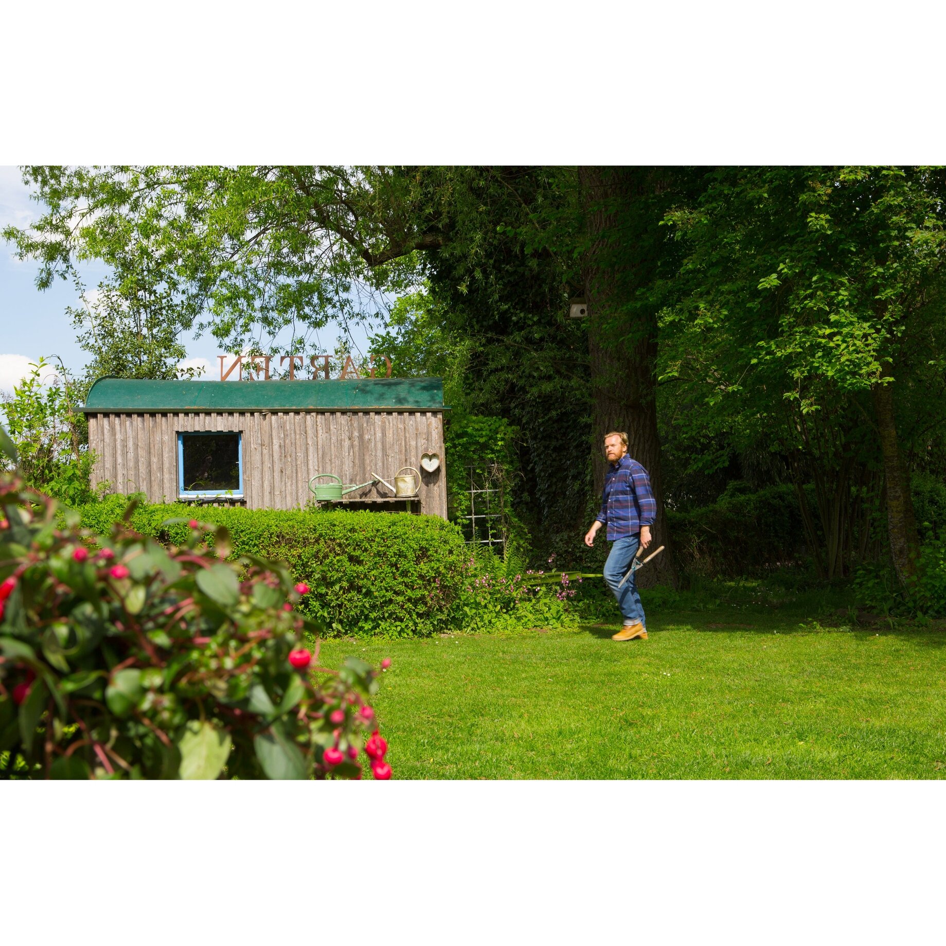 Gras, Innenarchitektur, Rasen, Unterschlupf, Person