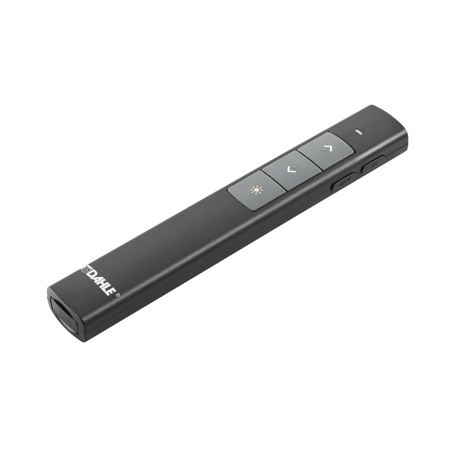 Presenter mit Laserpointer