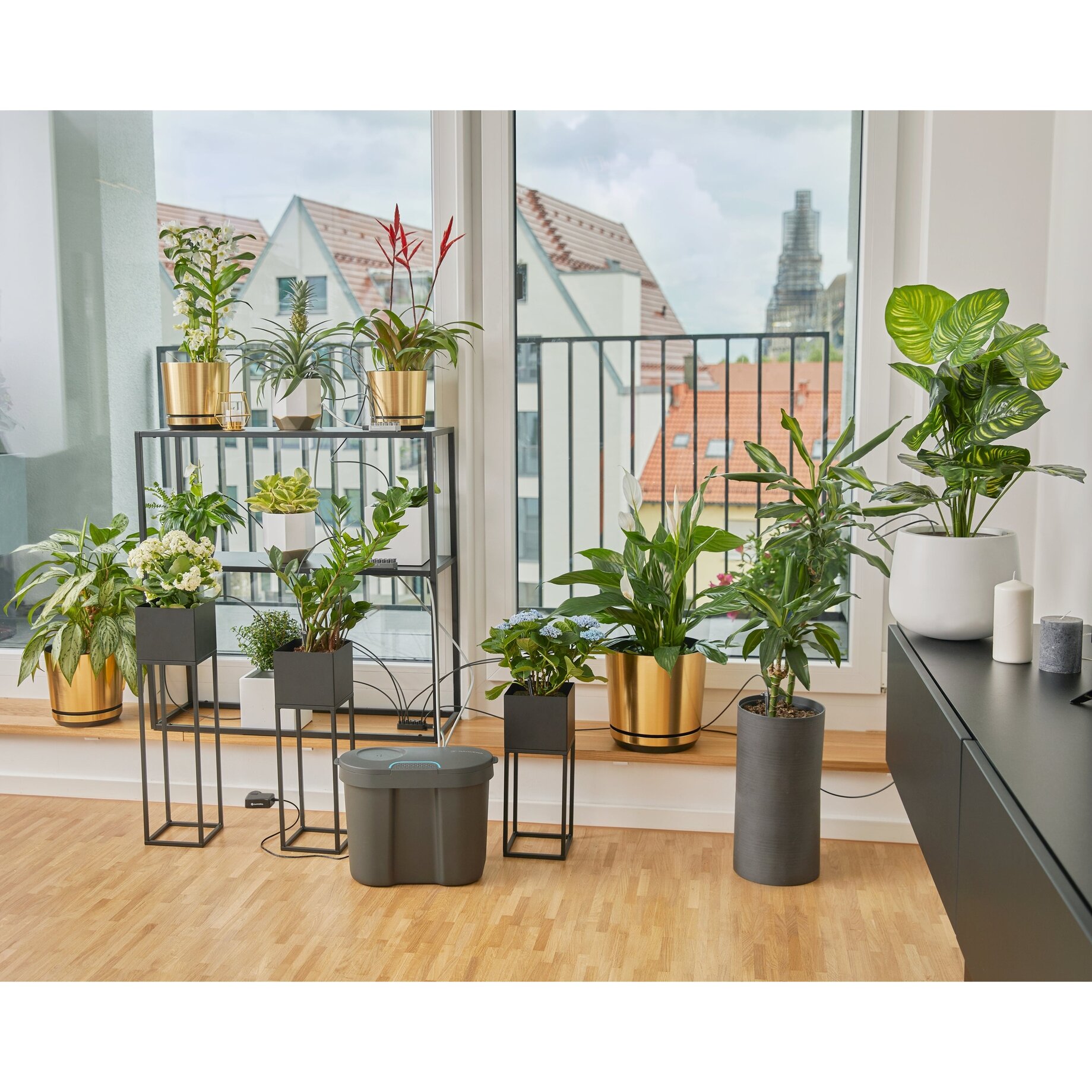 Pflanze, Balkon, Gebäude, Innenarchitektur, Pflanze im Topf
