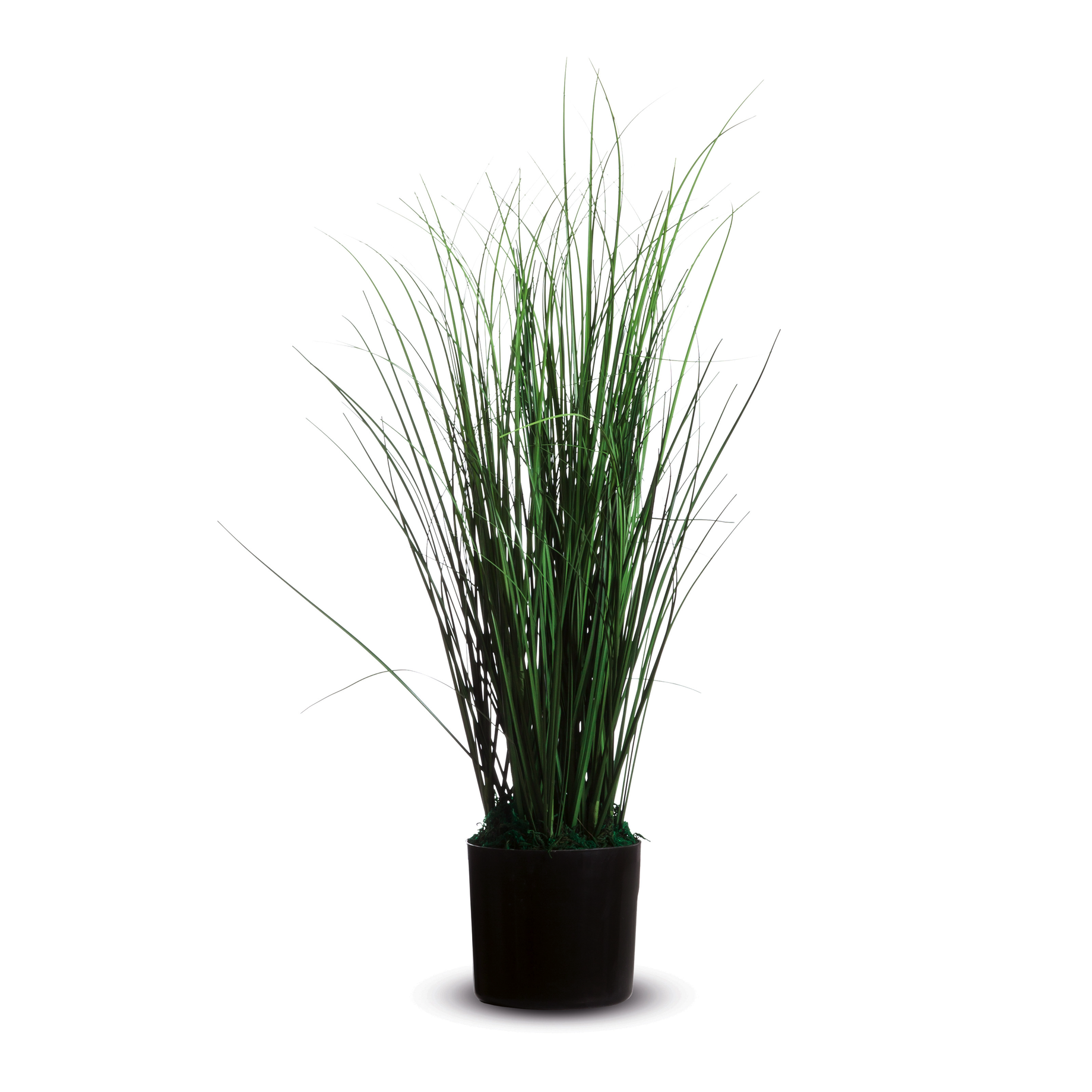 Kunstpflanze GRAS