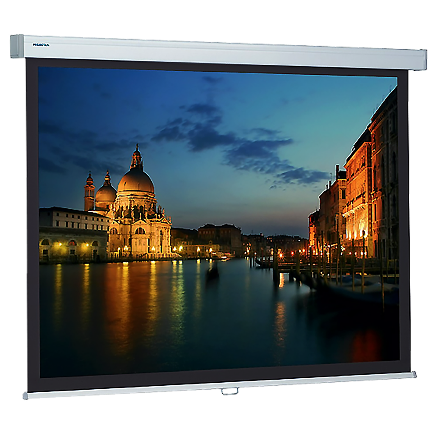 Projektionsleinwand Projecta ProScreen