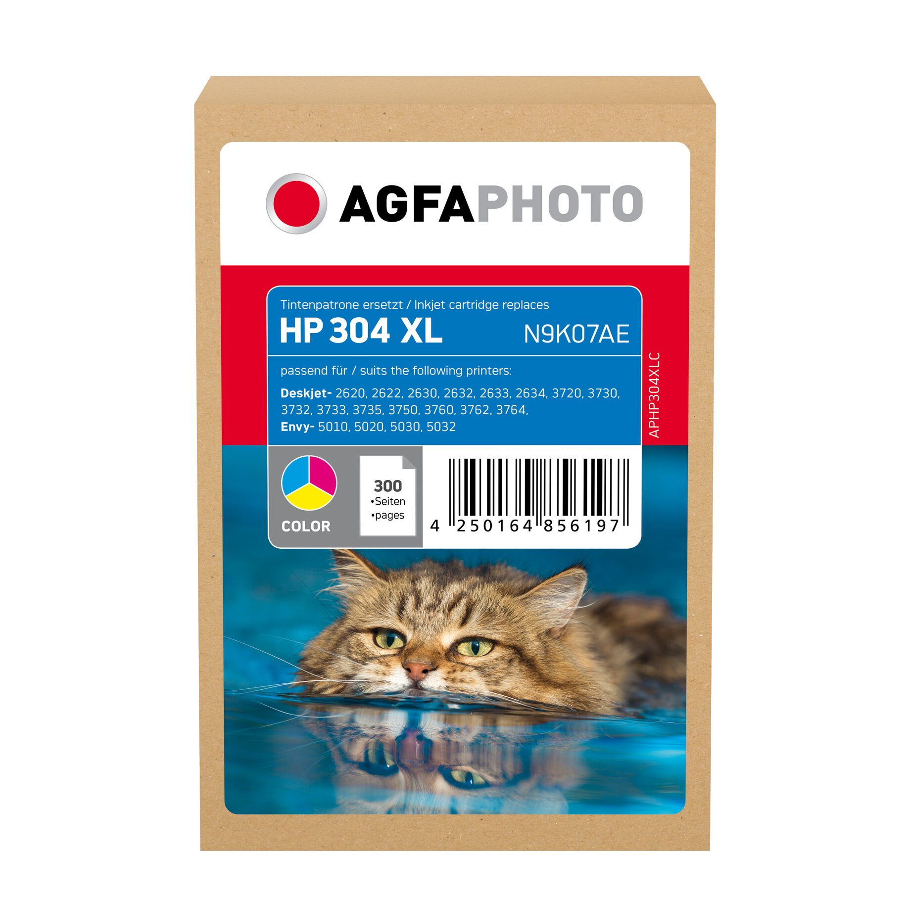 Tier, Katze, Kätzchen, Säugetier, Haustier