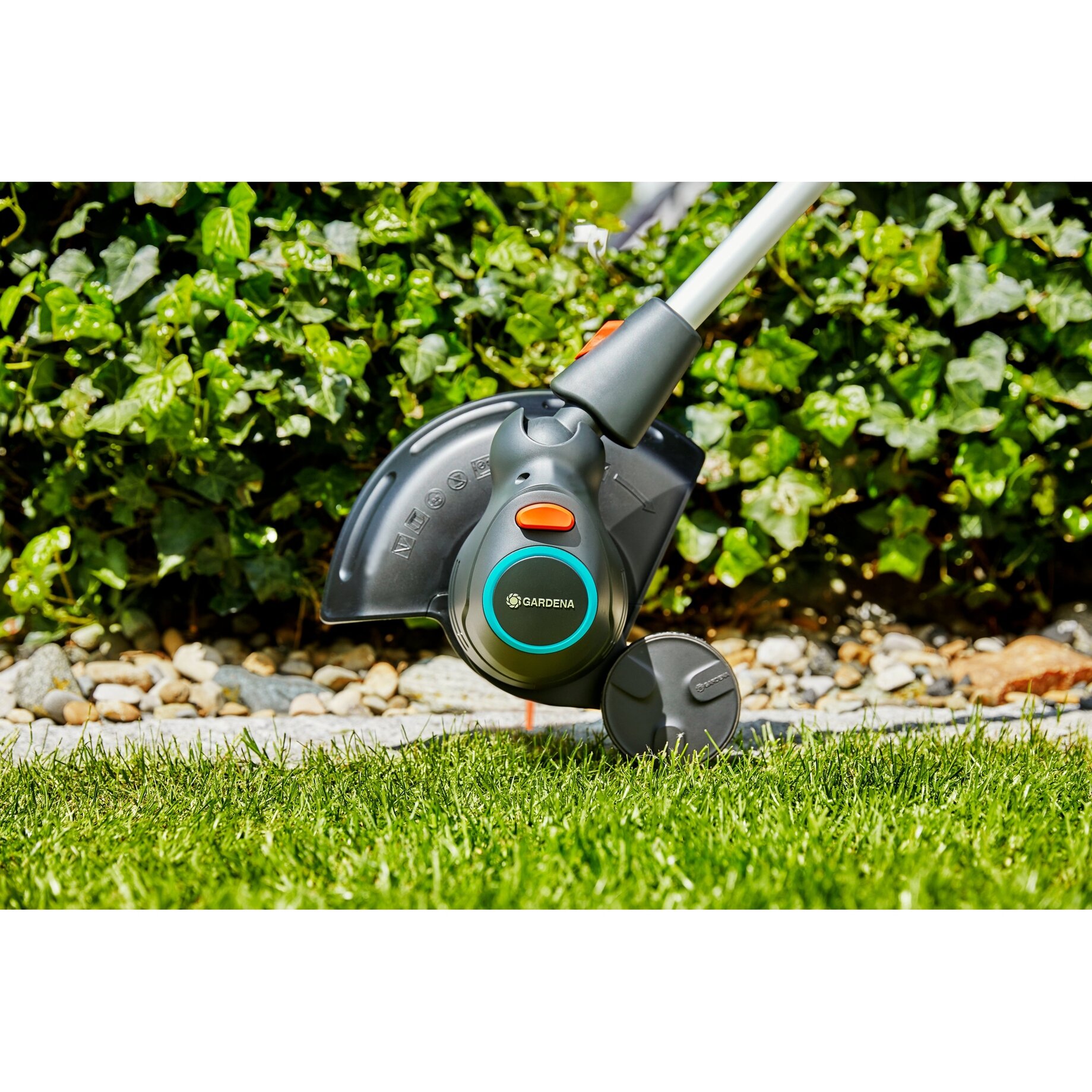 Gras, Pflanze, Rasen, Gerät