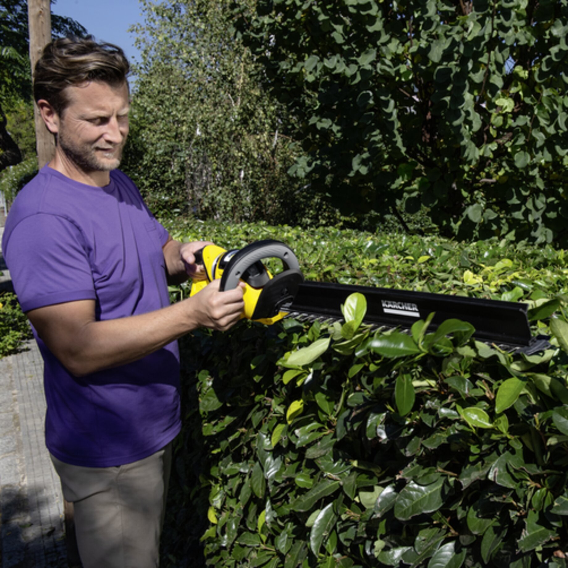 Garten, Gartenarbeit, Erwachsener, Mann, Person