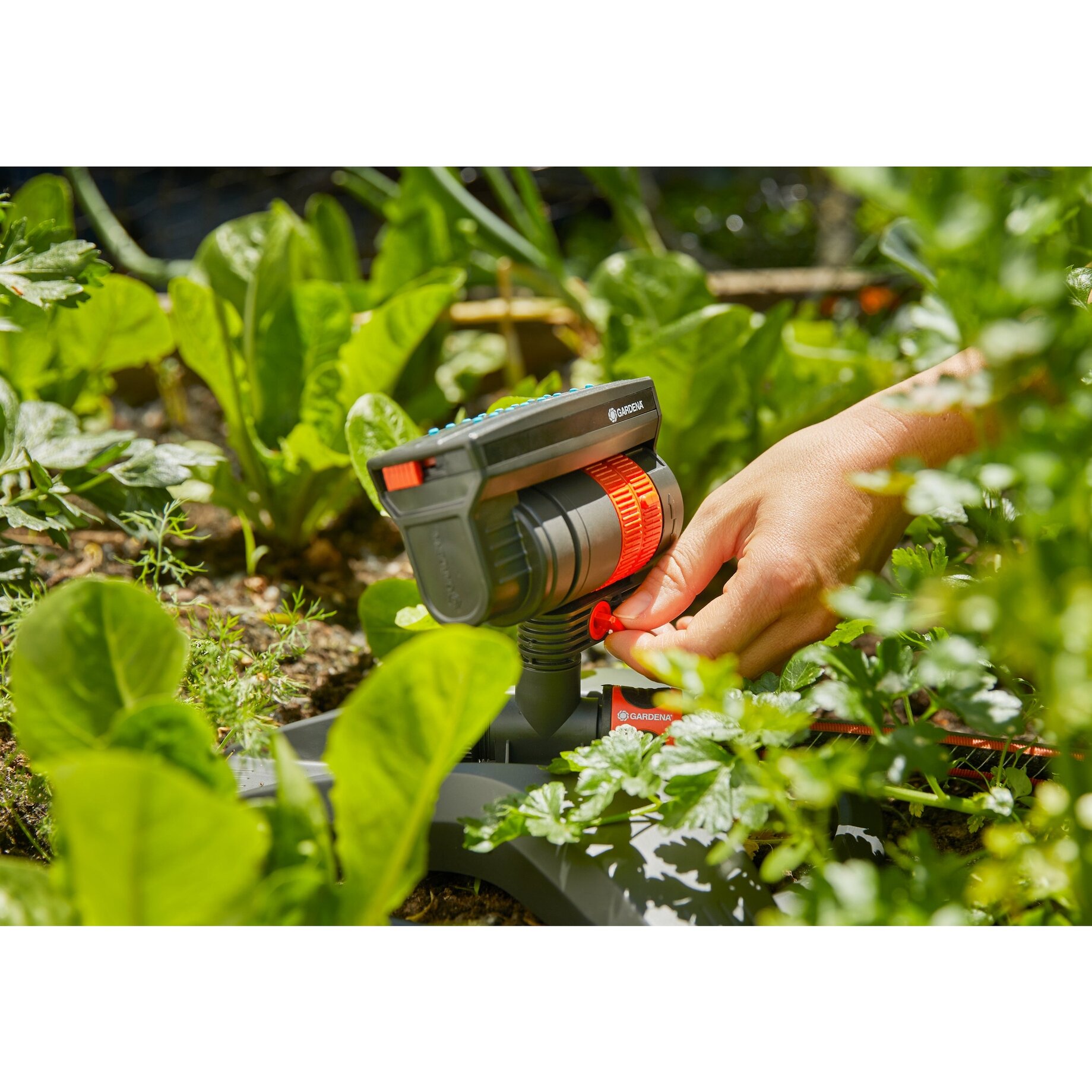 Gartenbewässerung, Bewässerungssystem, Sprenger, Hochdruckpumpe, Gartenwerkzeug, Gartenbewässerung,  Bewässerungssystem,  Spinner,  Roboter,  Gartenspritze