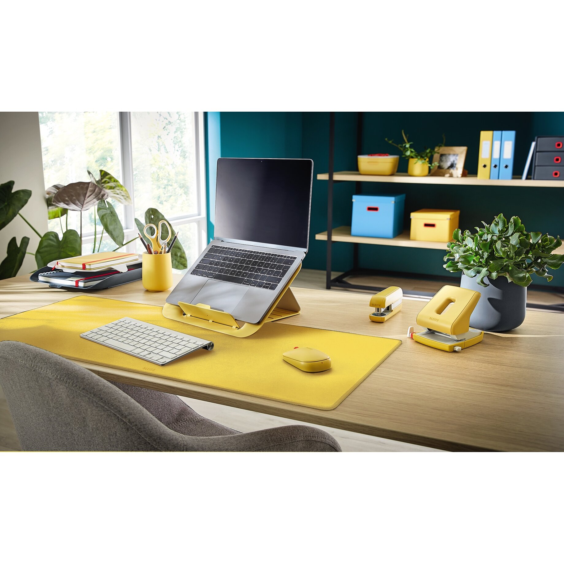 Tabelle, Innenarchitektur, Computer-Tastatur, Schreibtisch, Pflanze