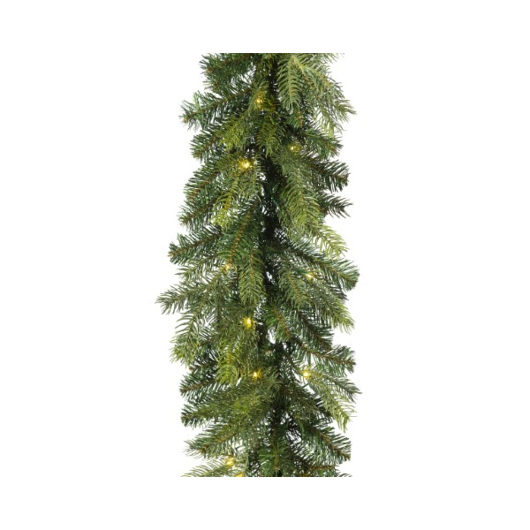 Pflanze, Baum, Kiefer, Weihnachtsdekorationen, Festival