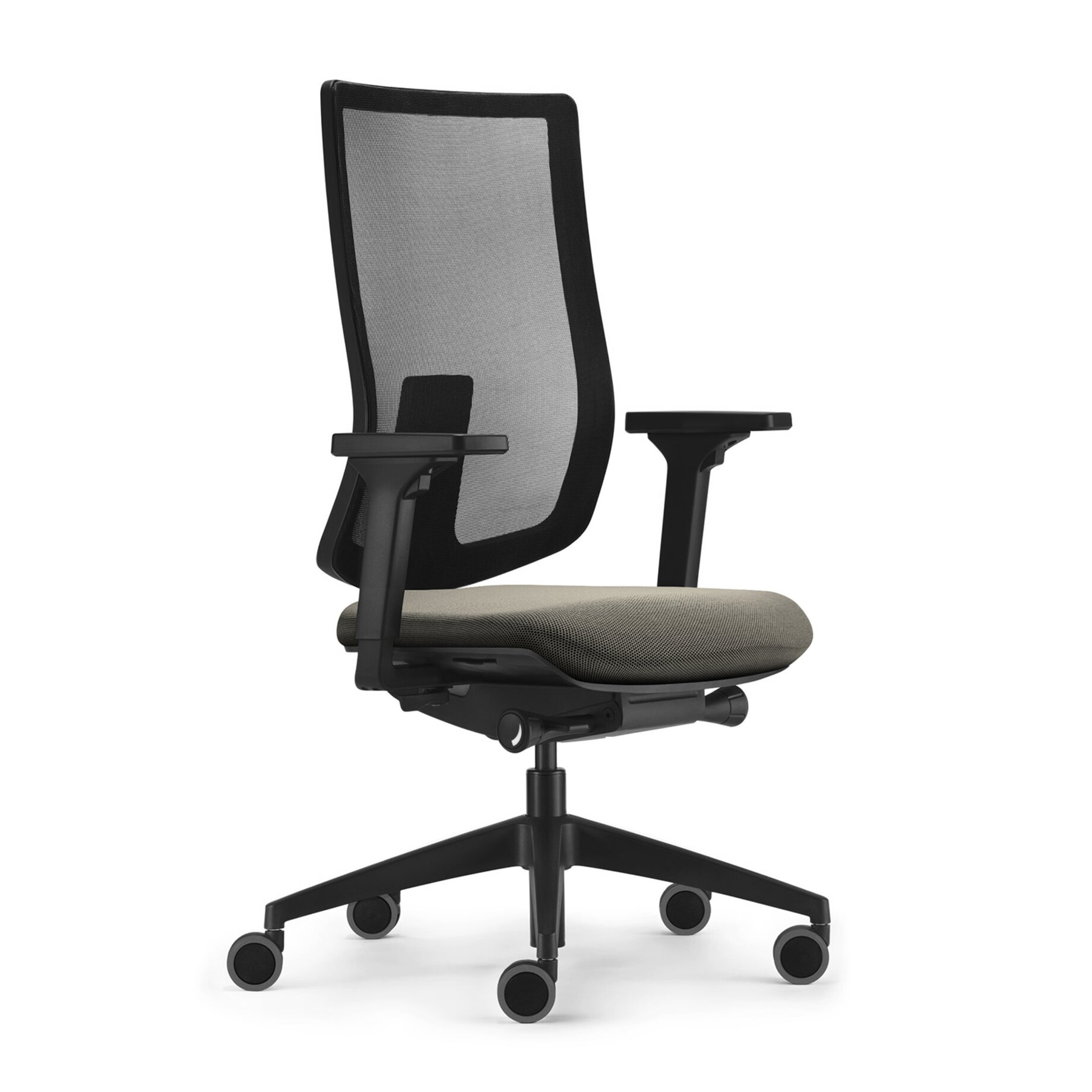 Kissen, Dekoration für Zuhause, Mobiliar, Stuhl
