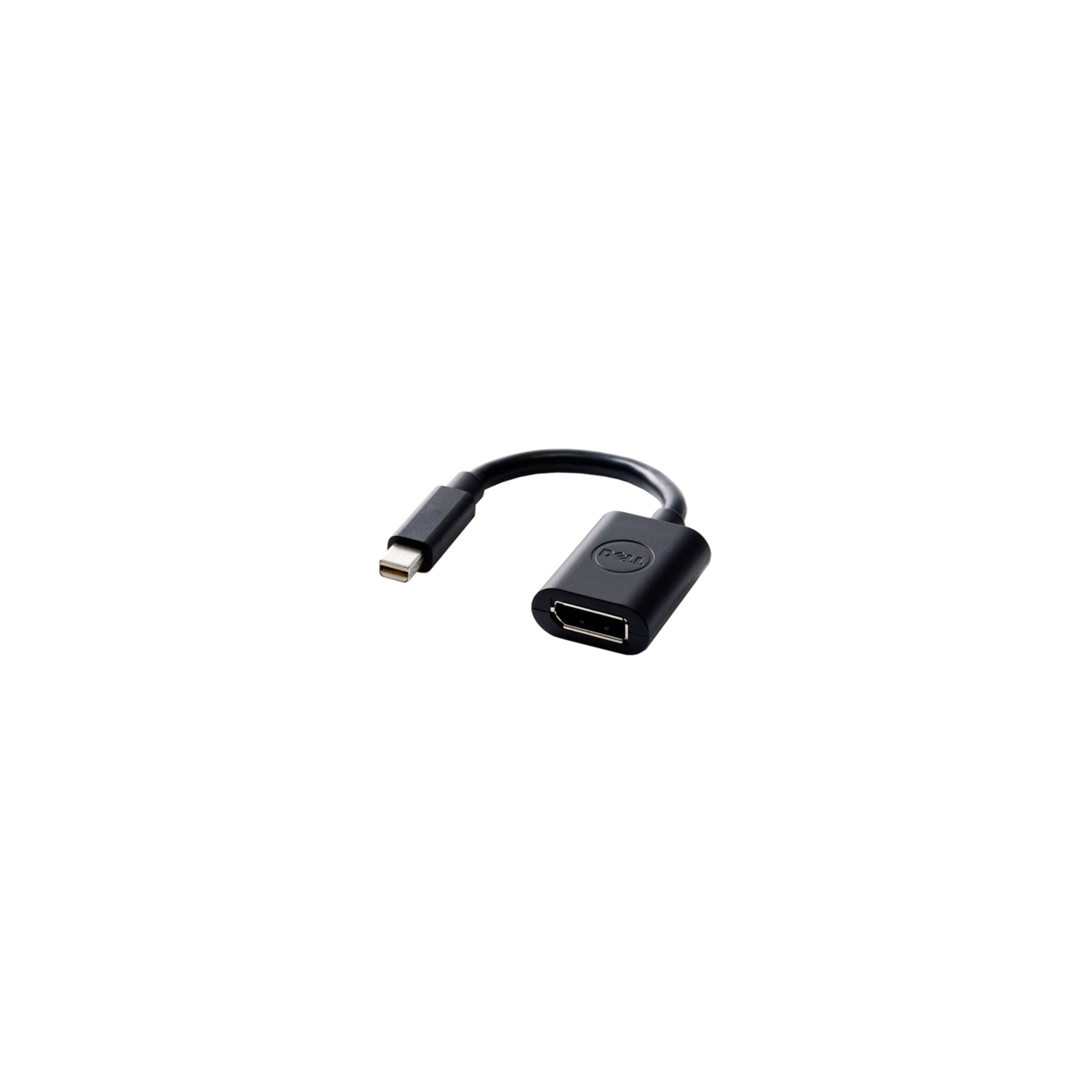 Mini DisplayPort zu DisplayPort Adapter