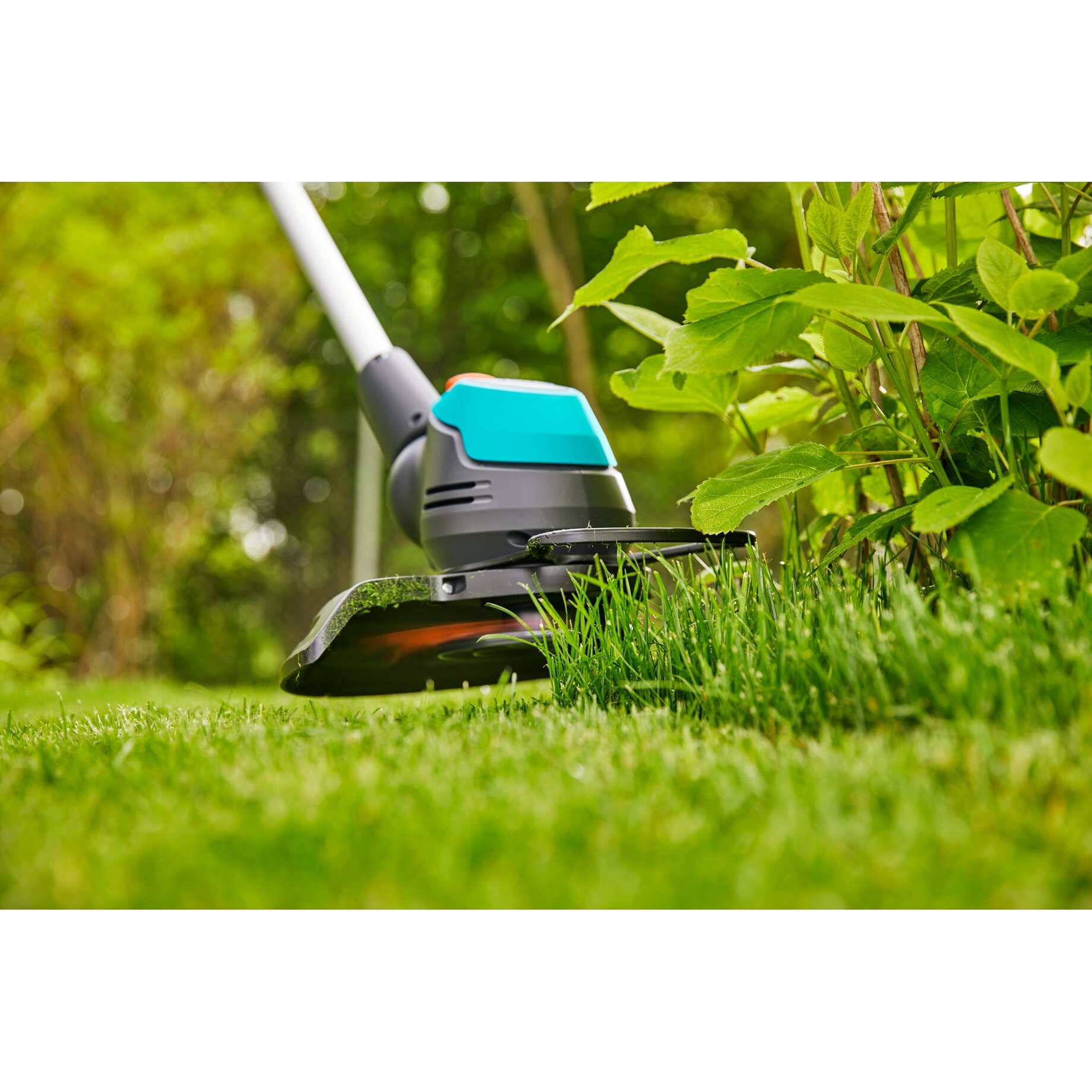 Gras, Rasen, Pflanze, Gerät