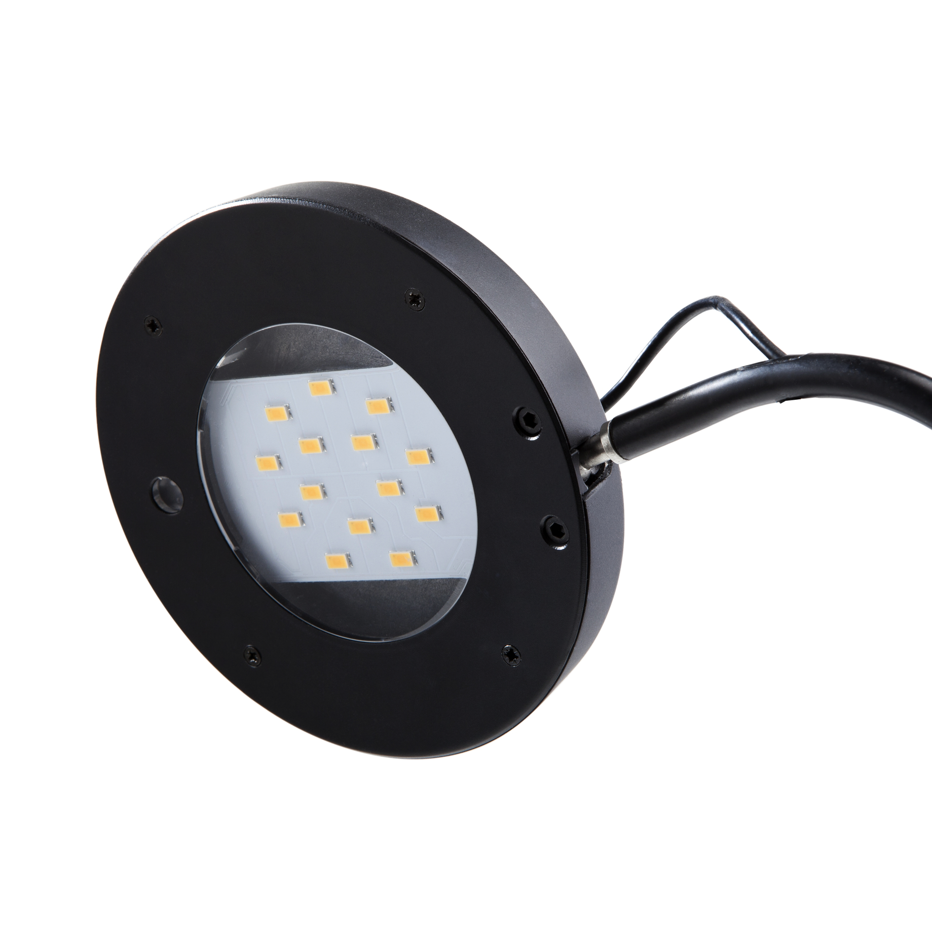 LED Tischleuchte EYELIGHT