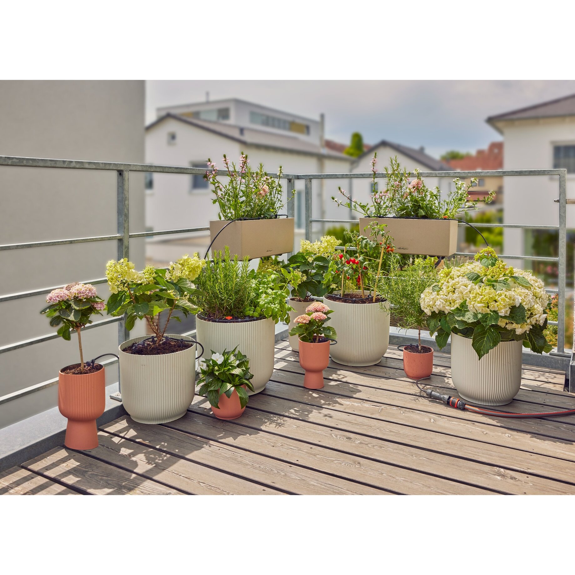 Architektur, Balkon, Gebäude, Pflanze