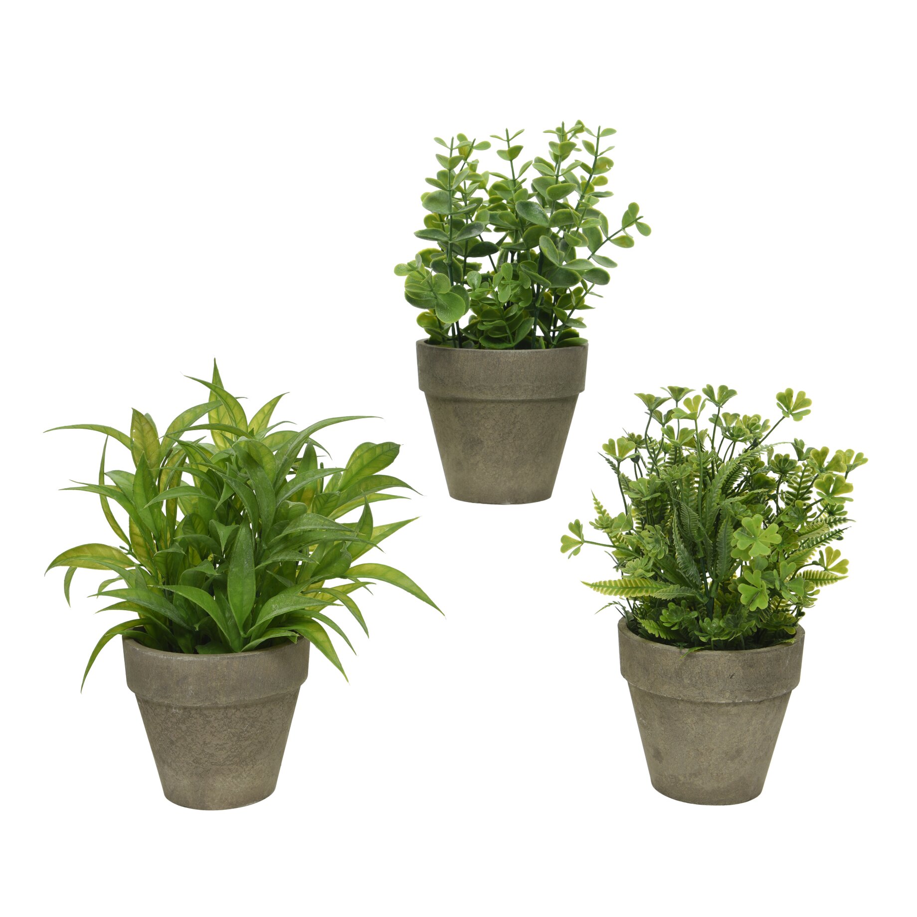 Kräuter, Pflanze, Topfpflanze, Blatt