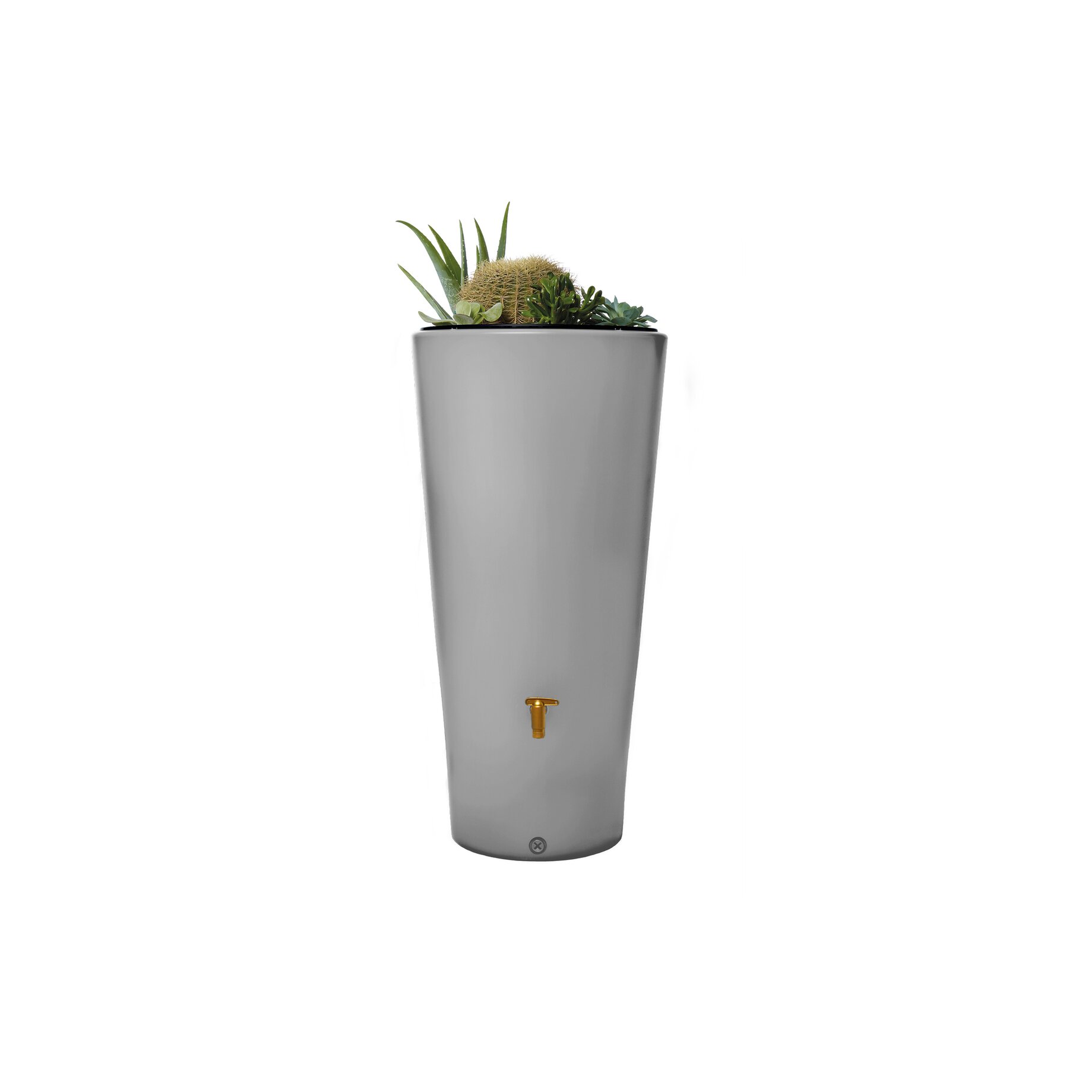 pflanzentopf, topf, kübel, succulenten, pflanze