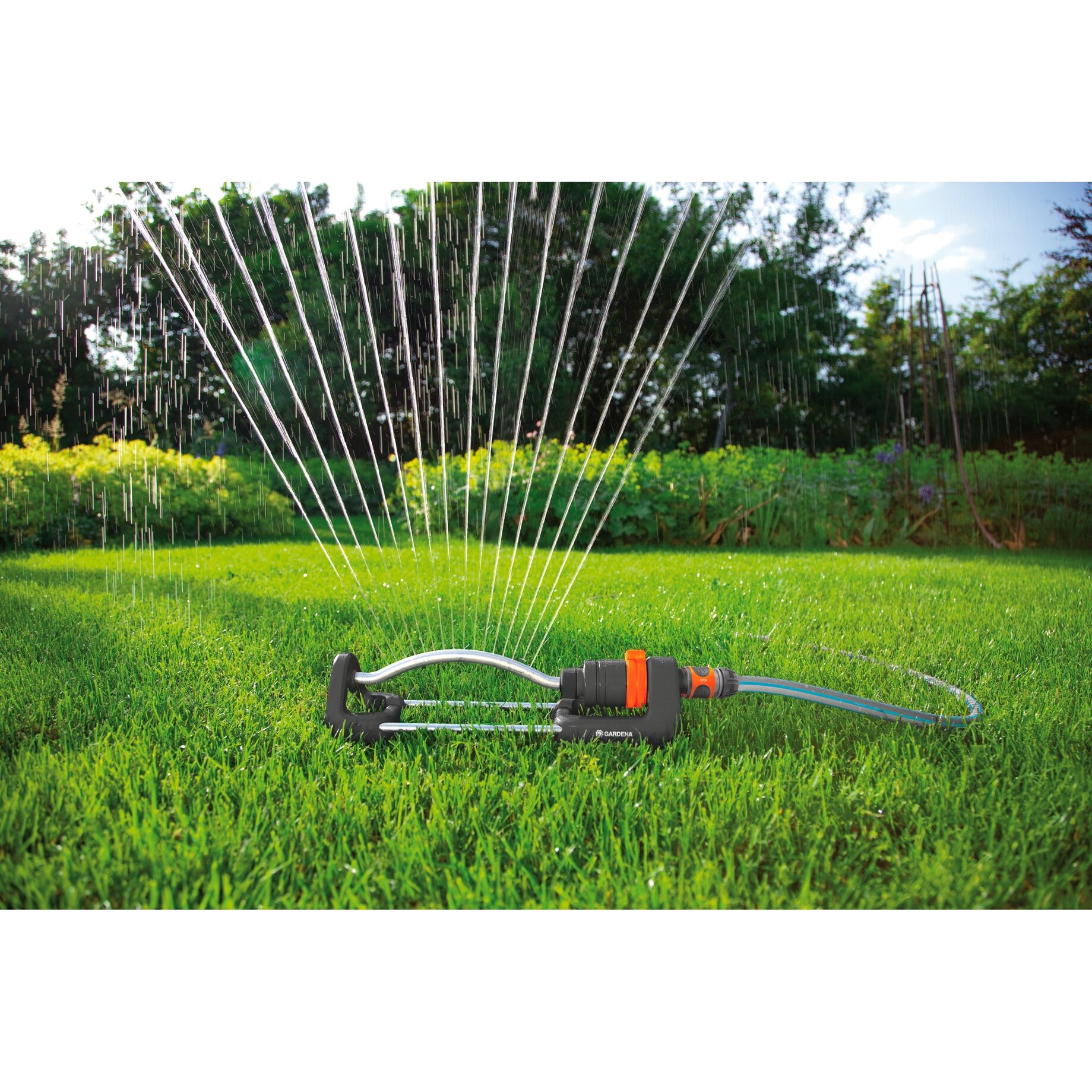 Gras, Pflanze, Rasen, Wasser, Maschine